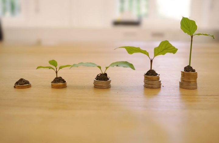 Rosnące rośliny na monetach symbolizujące inwestycje finansowe